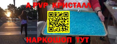 гашик Тверь