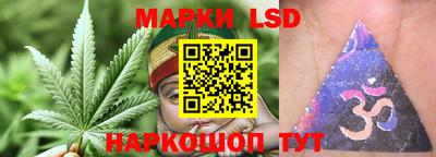 винт Тара
