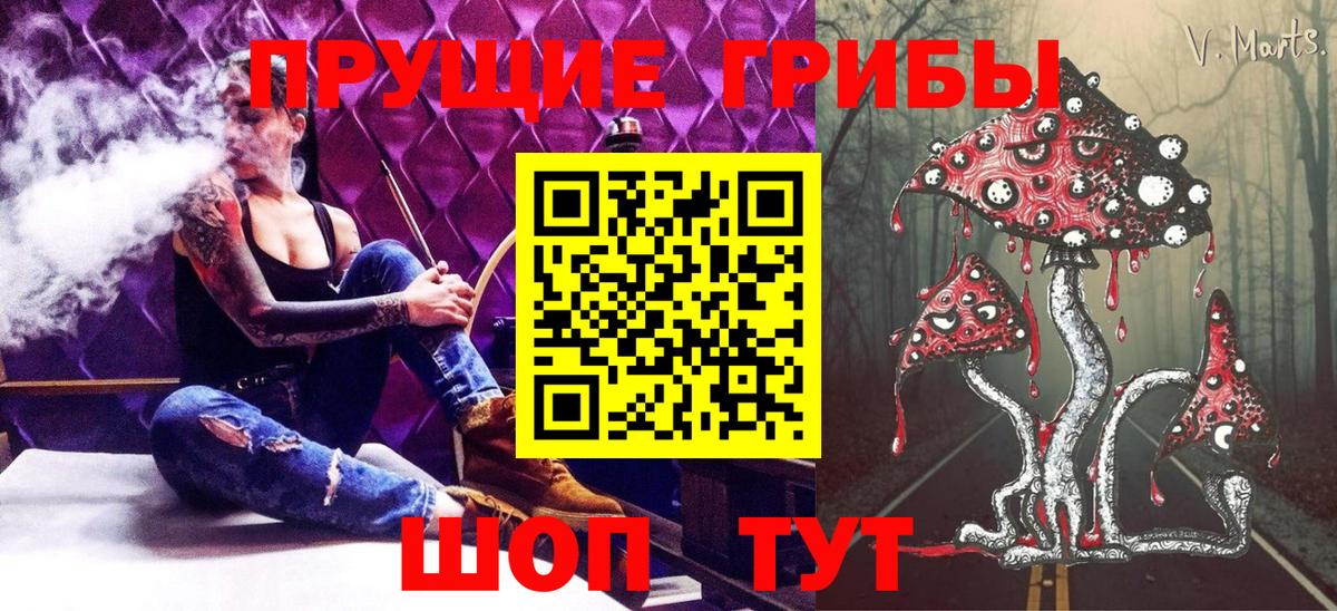 Галлюциногенные грибы Psilocybe  магазин продажи   Галлюциногенные грибы мухоморы  Новодвинск  Вход с VPN 